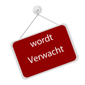 SYM Mio 50 Windscherm Hoog BETAAL met in3